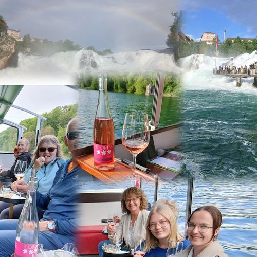 Degustation, Wein, Stein am Rhein